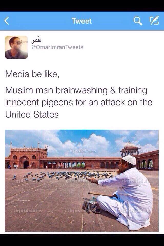 pigeons