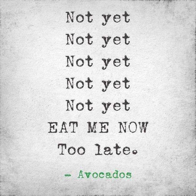 avocado too