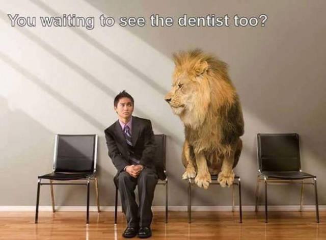 dentist