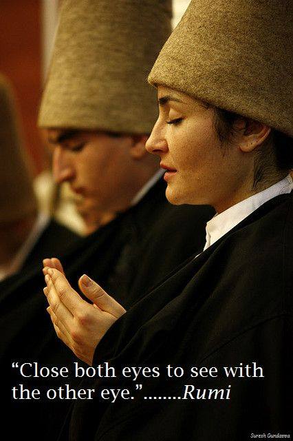 11214325_1615244862072325_5352480186746043628_n