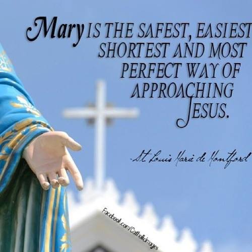 12107145_883314431705852_4882467743622788452_n