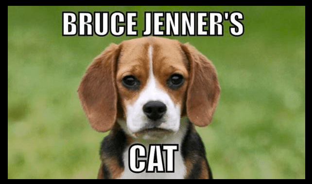 Screen Shot 2015-11-12 at 19.40.18