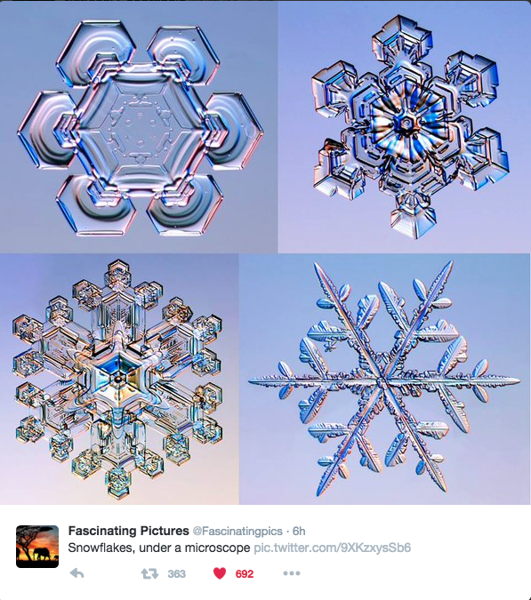 Screen Shot 2016-01-20 at 08.19.55