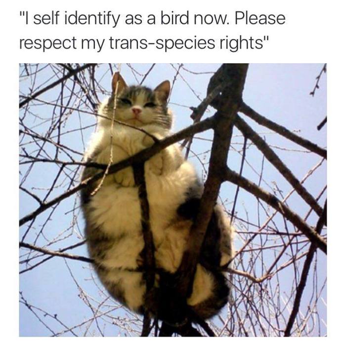 11033760_1110256122381762_7250674167983895329_n