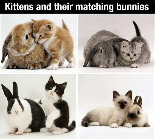 Screen Shot 2016-04-22 at 08.18.22