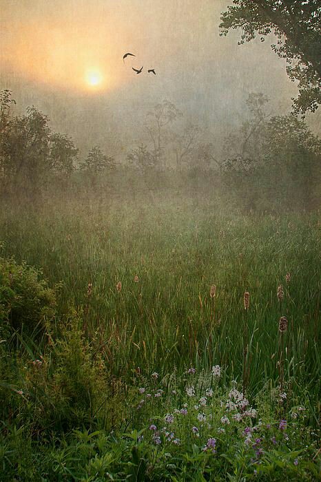 tumblr_o5k6h041B21s7lffto1_500