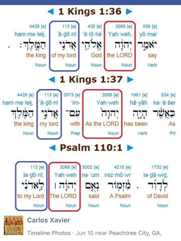 13507208_1743982272553688_561969318014165452_n