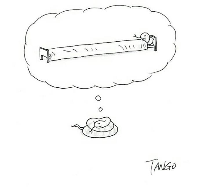 13731496_1130705400301480_825711691469279982_n