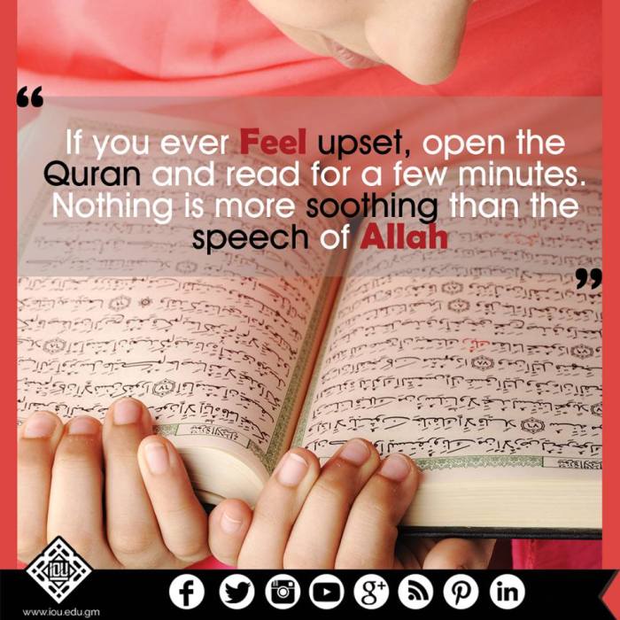 14199776_10154438143837889_7340527080765397608_n