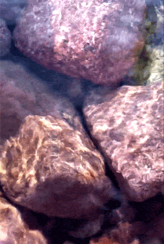 tumblr_m92a7knkEY1qe6mn3o1_400