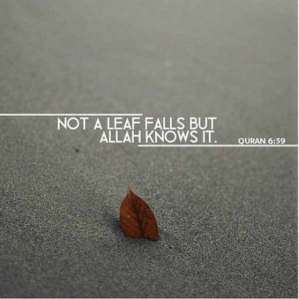 screen-shot-2016-10-21-at-23-22-16