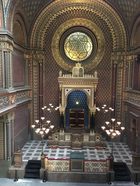 tumblr_oemuuijomo1rvm4amo1_540