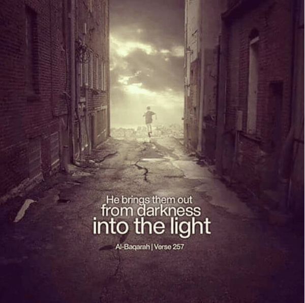 screen-shot-2017-01-15-at-23-31-58