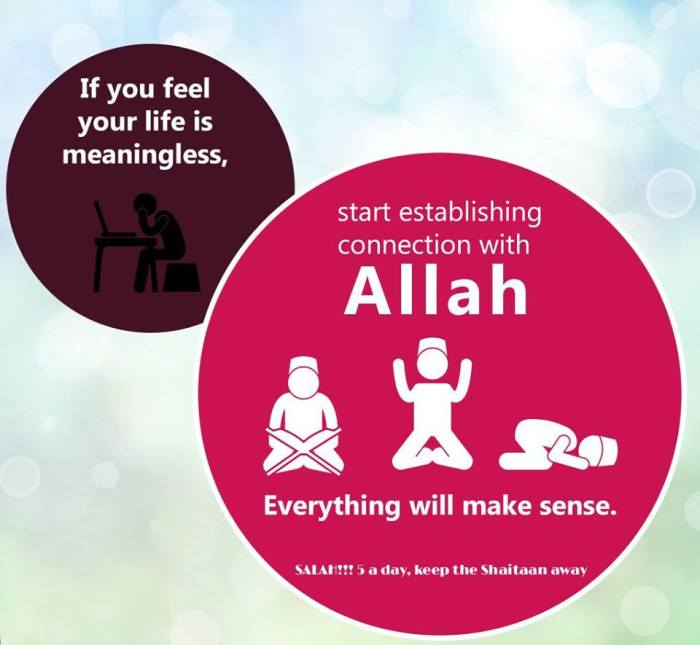 16265705_1405482729476227_5840095961407283334_n