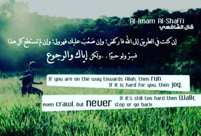 16681723_763710423785387_4326574581146603897_n