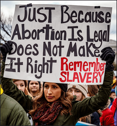 16939438_1981123958788460_5281847684415317873_n