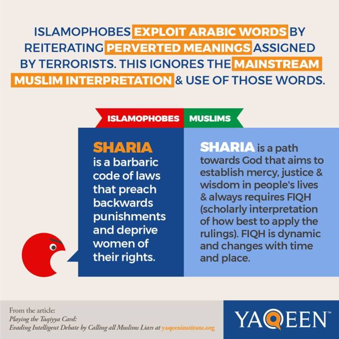 20800072_1786639598030117_1995740924141087431_n