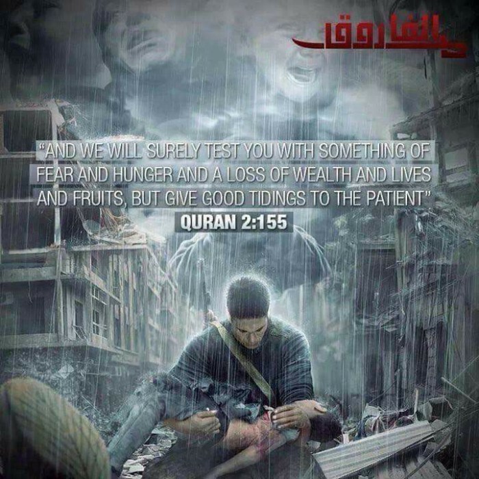 27751991_2008740196055067_7969273479452041855_n